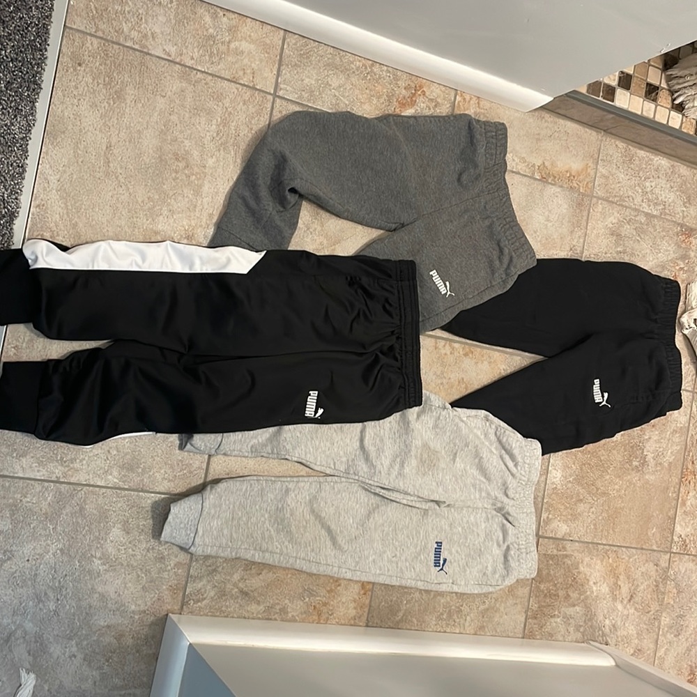 Puma lot